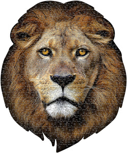 Puzzle - 550 pc (Madd Capp) - I Am Lion