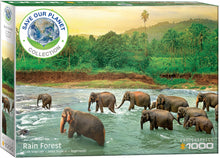 Load image into Gallery viewer, Puzzle - 1000pc (Eurographics) - Rainforest
